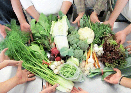 打造农村电子商务新“淘宝”